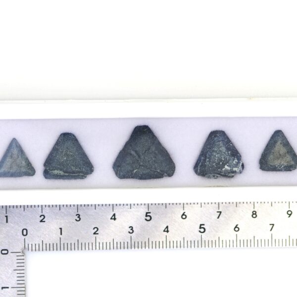 Benitoite Crystal Specimen Triangles 30.23 CTW. 5 PCS. Gemstones Rare Gems
